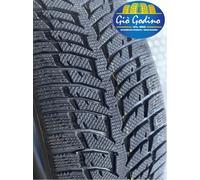 Autogreen Snow Chaser 2 AW08 (185/65 R15 88T)