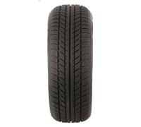Pneumatico invernale PKW TRAZANO 6927116199159 per MG MG ZT 2 2002-2003