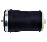 Pneumatico Molla Aria Sospensione Borsa Posteriore Sinistro Adatto BMW X5 E53 (