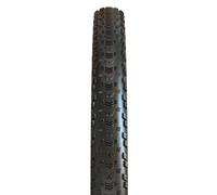 Maxxis Aspen Exo 120tpi Maxxspeed Tubeless 32´´ X 2.40 Mtb Tyre Argento 32´´ x 2.40 Black