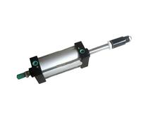 Pneumatico SCJ Cilindro pneumatico standard Doppio stelo Reset Pistoni regolabili SCJ50 * 50X75/100/150/200-50-S 1/4 "BSPT(SCJ50X175-50,With magnetic)