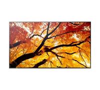 PNM322 Sharp MultiSync M322 Pannello piatto per segnaletica digitale 81,3 cm (32