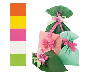 PNP - UD805PRR B 25X40 - Busta regalo Mat Pearly B - 25 x 40 cm - 40 micron - PPL - assortimento 5 colori - PNP - conf. 100 pezzi - 70930 - Conf. da 1 Pz. - UD805PRR B 25X40