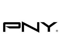 PNY Unità flash 256GB Attaché X USB 3.2 Gen 1, chiavetta di prestazioni avanzate fino a 130 MB/s in lettura, archiviazione e trasferimento di dati, portatile, affidabile, resistente, Tipo A