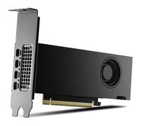 PNY VCNRTX2000ADA-PL scheda video NVIDIA RTX 2000 Ada 16 GB GDDR6 (NVIDIA Grafikkort - 16GB GDDR6)