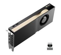 PNY RTX PRO 4500 Blackwell NVIDIA 32 GB GDDR7