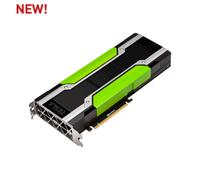 PNY NVIDIA Tesla P40 Scheda Datacenter 24GB GDDR6 PCI Express 3.0 x16, Doppio slot, raffreddamento passivo