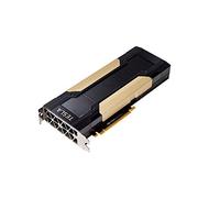 PNY NVIDIA Tesla V100 16 GB; 4096 Bit, PCI Express 3.0 x16 - Scheda grafica (Tesla V100, 16 GB)