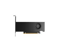 PNY nVidia RTX Pro 2000 Blackwell - Grafikkarte - PCI-Express