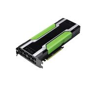 PNY Tesla M60 Module Long