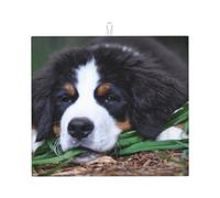 Poadnly Adorabile cane da montagna bernese, Tappetini scolapiatti assorbenti, Tappetino scolapiatti per il bancone della cucina 41x46 cm
