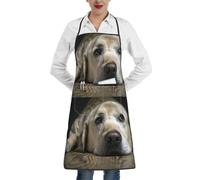Poadnly Adorabile cane Labrador, Grembiuli da cucina con tasche, grembiule da cuoco impermeabile regolabile