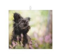Poadnly Affenpinscher Lawn Black Dogs Monkey Terrier, Tappetini scolapiatti assorbenti, Tappetino scolapiatti per il bancone della cucina 41x46 cm