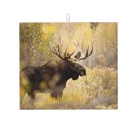Poadnly Alce selvatico Stan nella foresta, Tappetini scolapiatti assorbenti, Tappetino scolapiatti per il bancone della cucina 41x46 cm