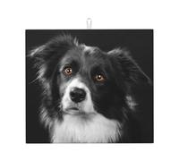 Poadnly Border Collie Cane da compagnia, Tappetini scolapiatti assorbenti, Tappetino scolapiatti per il bancone della cucina 41x46 cm
