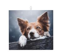 Poadnly Border Collie marrone Bokeh God con occhi gialli, Tappetini scolapiatti assorbenti, Tappetino scolapiatti per il bancone della cucina 41x46 cm