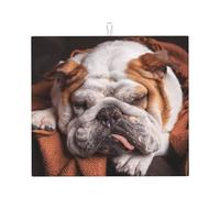Poadnly Bulldog inglesi, museruola per animali domestici, cani che dormono, Tappetini scolapiatti assorbenti, Tappetino scolapiatti per il bancone della cucina 41x46 cm
