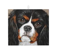 Poadnly Cane da regalo Cavalier King Charles Spaniel, Tappetini scolapiatti assorbenti, Tappetino scolapiatti per il bancone della cucina 41x46 cm