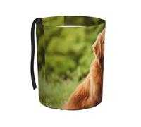 Poadnly Cane Golden Retriever,Cestino per auto, cestino per rifiuti da appendere, resistente all'acqua, ideale per campeggio e viaggi.