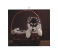 Poadnly Cane Husky, Tappetini scolapiatti assorbenti, Tappetino scolapiatti per il bancone della cucina 41x46 cm