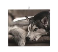 Poadnly Cane Husky, Tappetini scolapiatti assorbenti, Tappetino scolapiatti per il bancone della cucina 41x46 cm
