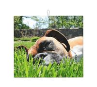 Poadnly Cani Boxer Animali da compagnia Erba verde Cani da prato, Tappetini scolapiatti assorbenti, Tappetino scolapiatti per il bancone della cucina 41x46 cm
