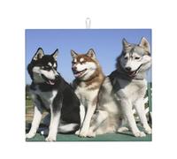 Poadnly Cani Husky Huskie, Tappetini scolapiatti assorbenti, Tappetino scolapiatti per il bancone della cucina 41x46 cm