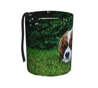 Poadnly Cavalier King Charles Spaniel, bianco brunastro,Cestino per auto, cestino per rifiuti da appendere, resistente all'acqua, ideale per campeggio e viaggi.
