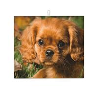 Poadnly Cavalier King Charles Spaniel Brown Curly Dogs, Tappetini scolapiatti assorbenti, Tappetino scolapiatti per il bancone della cucina 41x46 cm