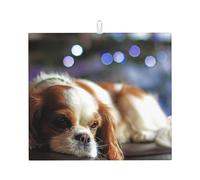 Poadnly Cavalier King Charles Spaniel Spaniel di piccola taglia, Tappetini scolapiatti assorbenti, Tappetino scolapiatti per il bancone della cucina 41x46 cm