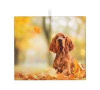 Poadnly Cocker Spaniel Autumn Park Brown Spaniel Dogs, Tappetini scolapiatti assorbenti, Tappetino scolapiatti per il bancone della cucina 41x46 cm