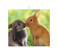 Poadnly Coniglio Amore Stampato, Tappetini scolapiatti assorbenti, Tappetino scolapiatti per il bancone della cucina 41x46 cm