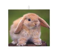 Poadnly Coniglio, Tappetini scolapiatti assorbenti, Tappetino scolapiatti per il bancone della cucina 41x46 cm