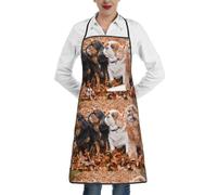 Poadnly Cuccioli autunnali di Cavalier King Charles Spaniel, Grembiuli da cucina con tasche, grembiule da cuoco impermeabile regolabile