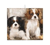 Poadnly Cuccioli di Cavalier King Charles Spaniel di piccola taglia, Tappetini scolapiatti assorbenti, Tappetino scolapiatti per il bancone della cucina 41x46 cm
