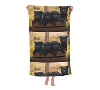 Poadnly Cuccioli di famiglia Affenpinscher Cani neri Scimmia, Telo mare ad asciugatura rapida 80 x 130 cm Asciugamano da bagno ultra morbido Ideale per bagno, hotel