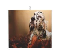 Poadnly Cuccioli di Setter Inglese Autunno Animali Domestici Cani Inglese, Tappetini scolapiatti assorbenti, Tappetino scolapiatti per il bancone della cucina 41x46 cm