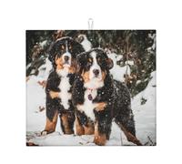 Poadnly Divertente cane da montagna bernese, Tappetini scolapiatti assorbenti, Tappetino scolapiatti per il bancone della cucina 41x46 cm