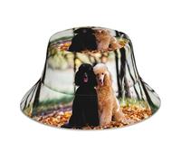 Poadnly Due barboncini Reali Autumn, Cappello da Pescatore per Adulti, Cappello da Sole, Berretto da Corsa Riflettente Notturno, Cappelli da Pescatore