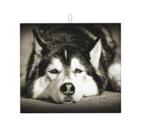 Poadnly Husky siberiano, Tappetini scolapiatti assorbenti, Tappetino scolapiatti per il bancone della cucina 41x46 cm