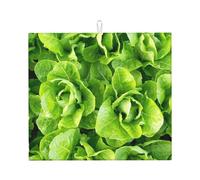 Poadnly Lattuga romana fresca, Tappetini scolapiatti assorbenti, Tappetino scolapiatti per il bancone della cucina 41x46 cm