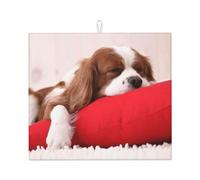 Poadnly Modello Cavalier King Charles Spaniel, Tappetini scolapiatti assorbenti, Tappetino scolapiatti per il bancone della cucina 41x46 cm