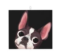 Poadnly Natura del Boston Terrier, Tappetini scolapiatti assorbenti, Tappetino scolapiatti per il bancone della cucina 41x46 cm