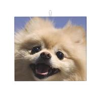 Poadnly Pomerania felice stampato, Tappetini scolapiatti assorbenti, Tappetino scolapiatti per il bancone della cucina 41x46 cm