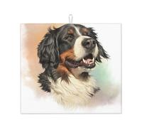 Poadnly Ritratto realistico del cane da montagna bernese Berner, Tappetini scolapiatti assorbenti, Tappetino scolapiatti per il bancone della cucina 41x46 cm