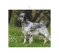Poadnly Setter inglese Animali da prato Cani Setter inglese, Tappetini scolapiatti assorbenti, Tappetino scolapiatti per il bancone della cucina 41x46 cm