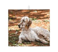 Poadnly Setter inglese Autunno Animali domestici Cani Inglese, Tappetini scolapiatti assorbenti, Tappetino scolapiatti per il bancone della cucina 41x46 cm
