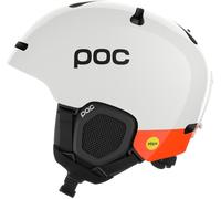 Poc Fornix MIPS 10412 9482
