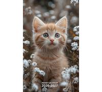 Pocket Calendar 2026-2027 for Purse: Small 2 Year Monthly Planner from January 2026 to December 2027 with Holidays, Cute Kitty Cover