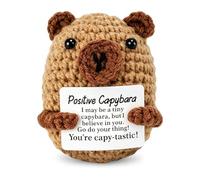Pocket Hug Positive Capybara Peluche con carte di affermazione positive